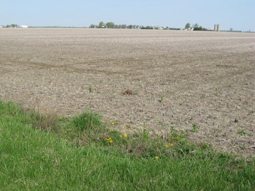 Property photo 39 - 172 Acres Offered in 3 Tracts - Prime Farmland